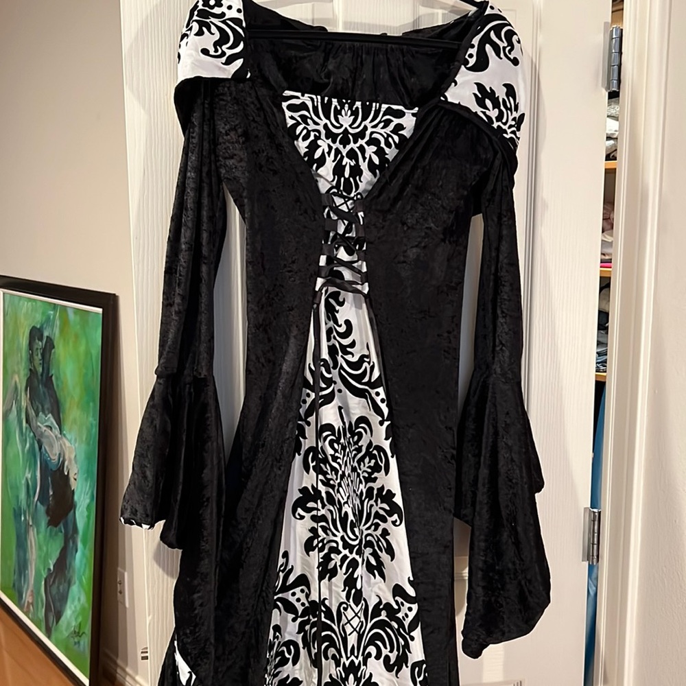 Medieval Lady In Waiting Costume